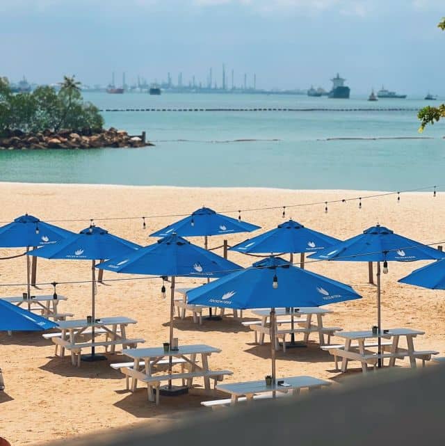 Another perfect day for beach therapy! ☀️☀️ Sit by the beach and enjoy your weekend with good food and good vibes. Reserve now! Link in bio. 🏖️🏖️ ☀️☀️ #focsentosa #sentosasg #weekendvibes #beachtherapy #pool #beachvibes #beachlife #beachyvibes #beaching #sunandsand #dayatthebeach #sandytoes #beachfun #feelingbeachy #funinthesun #beachbum #beachlover